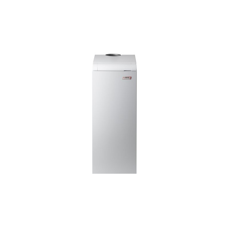 Напольный газовый котел Protherm Медведь 50 KLOM