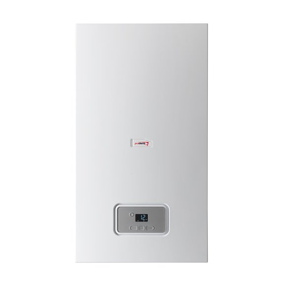 Настенный газовый котел Protherm Гепард 23 MOV